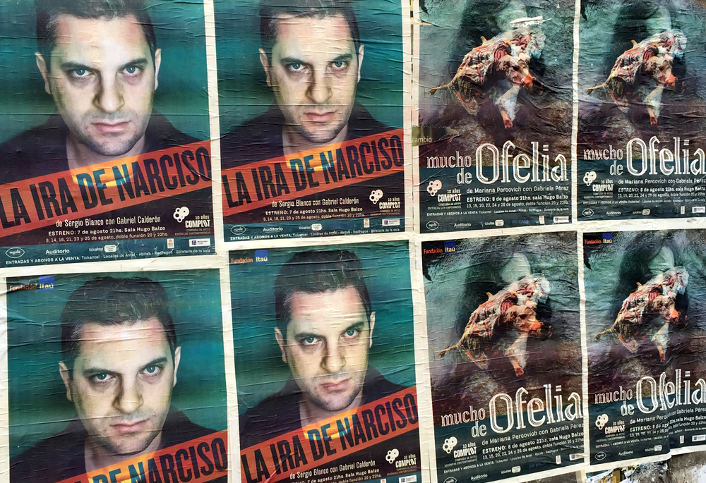 Identidad visual de La ira de Narciso y Mucho de Ofelia